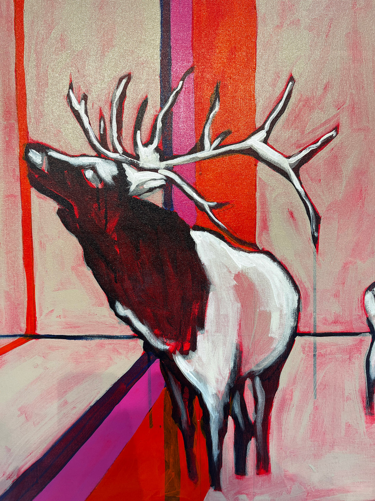 Elks on Ice