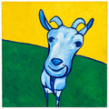 Blue Goat