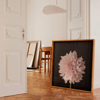 Dahlia